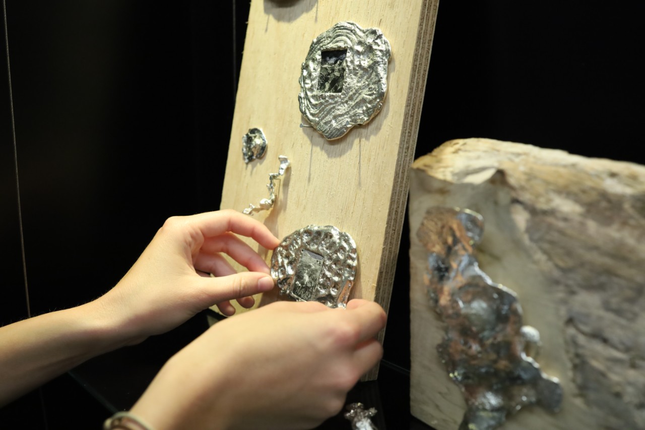 close up of metallic cuttlefish shells