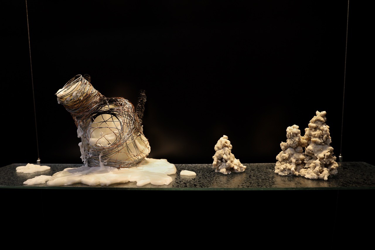 Close up of sculptures in glass display case