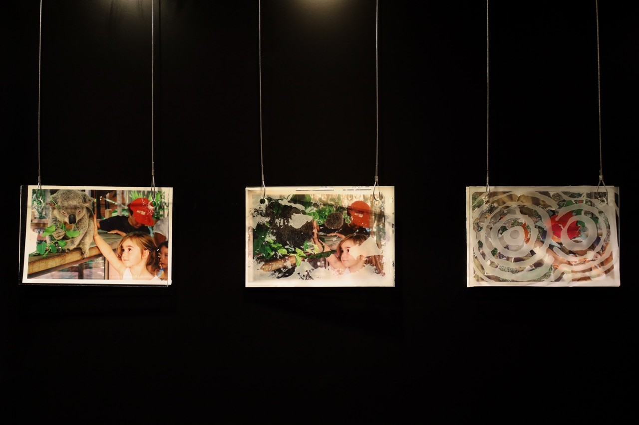 Three photographs hanging in a display cabinet