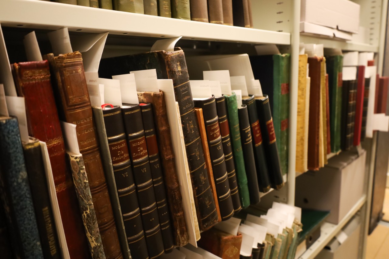 A range of items from the Charteris Collection on a book shelf