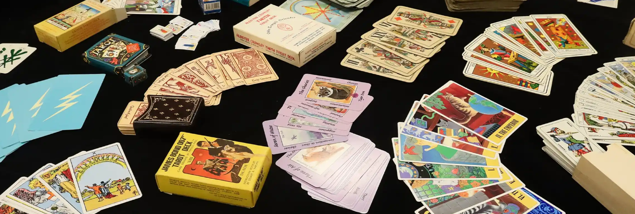 female student studying 