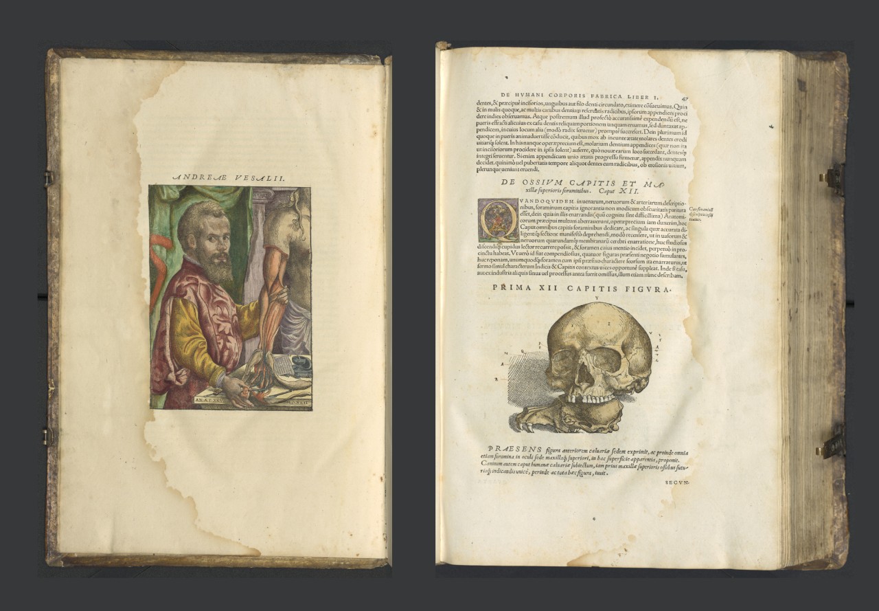 Two pages of a book featuring an illustration of a man and a skull