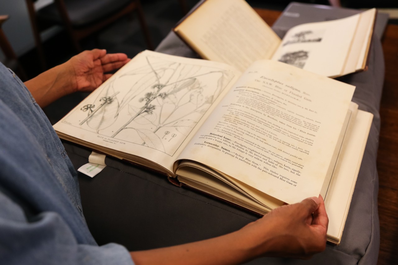 An open book featuring botanical illustrations