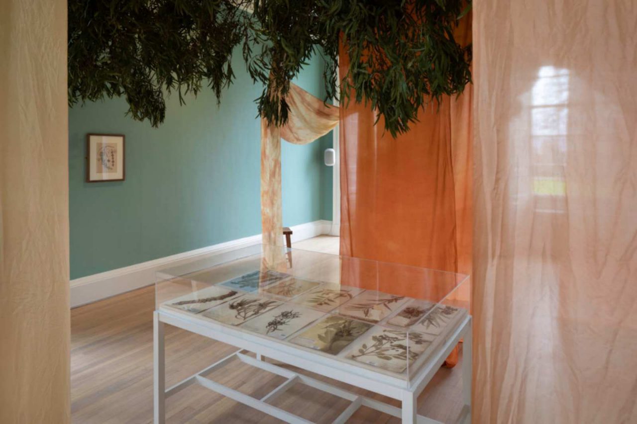 Installation view of Keg's artwork Blue Haze. Eucalyptus branches hang from the ceiling and fabric is draped from ceiling to floor. 