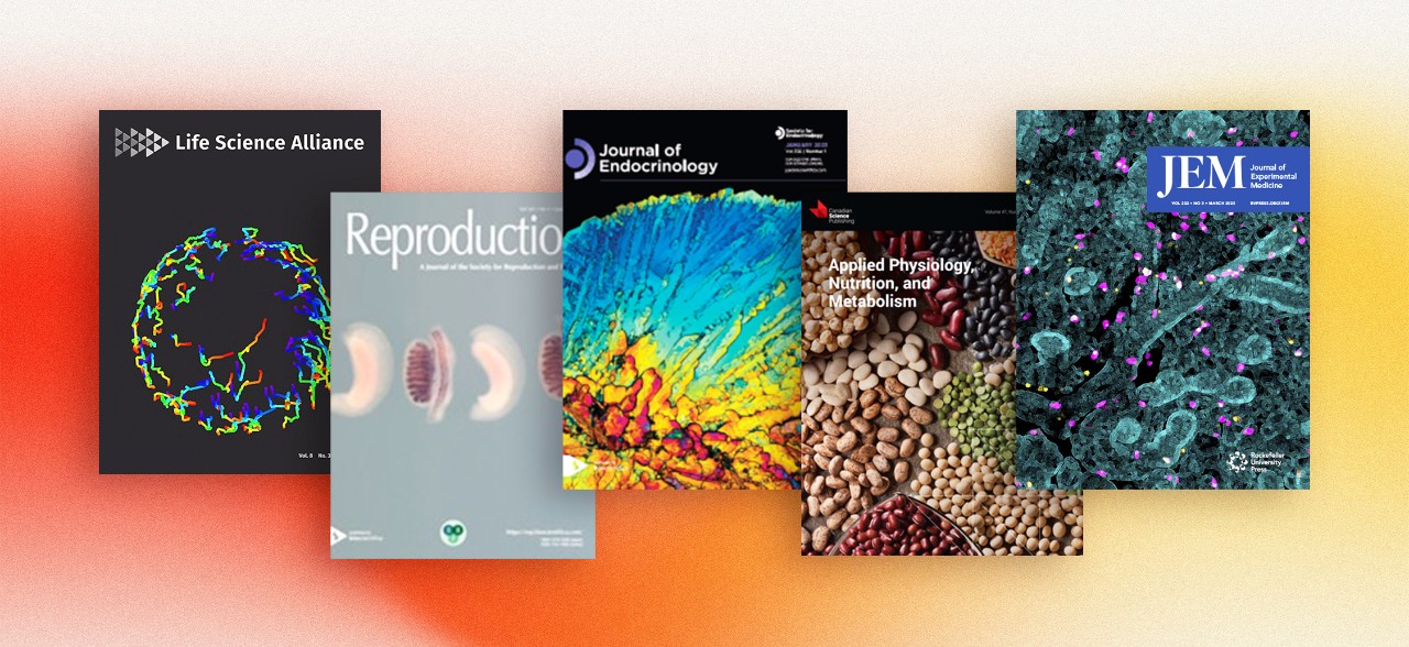 a collection of academic journal covers on a warm abstract background