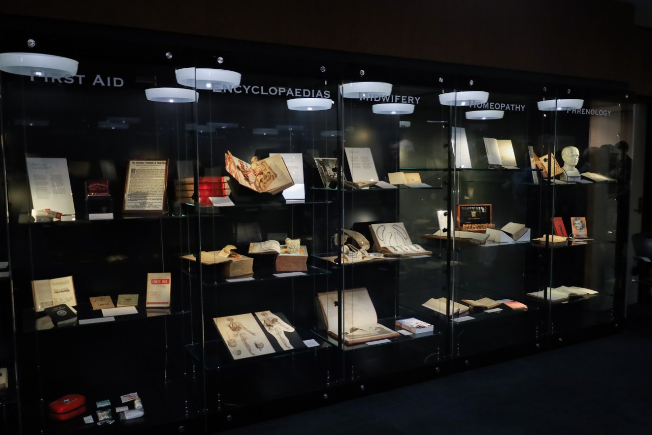 Installation view of the 'Sydney: In Sickness & In Health'