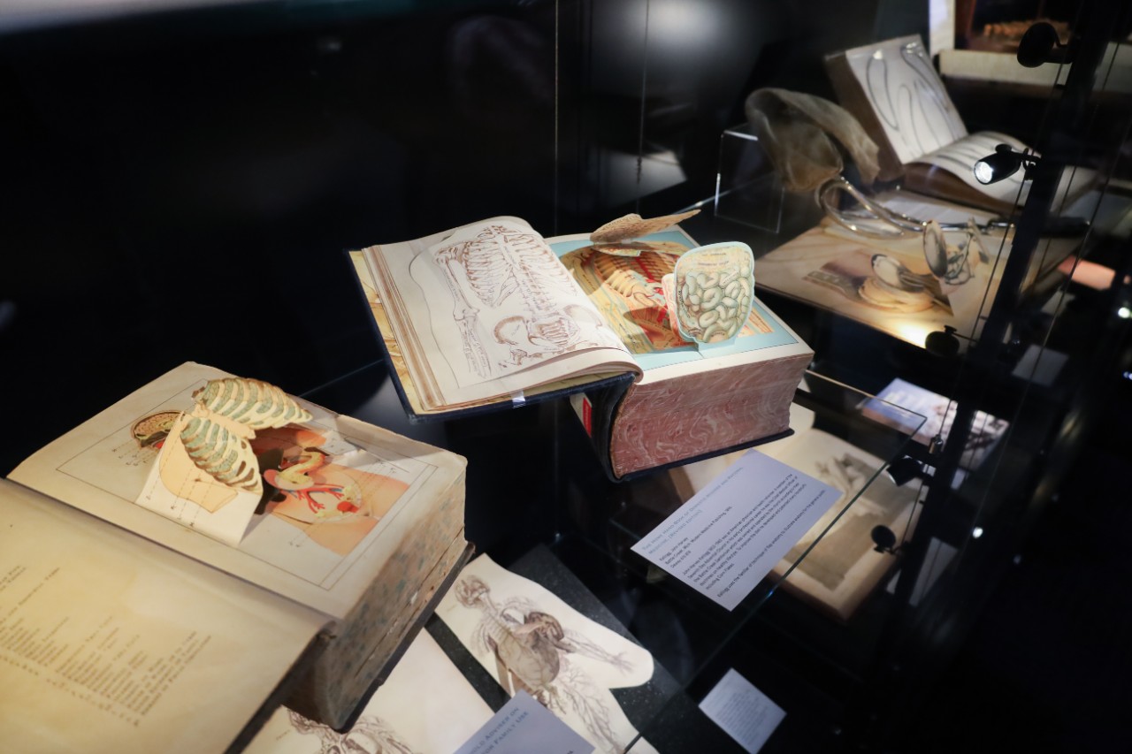 Installation view of 'Sydney: In Sickness & In Health'