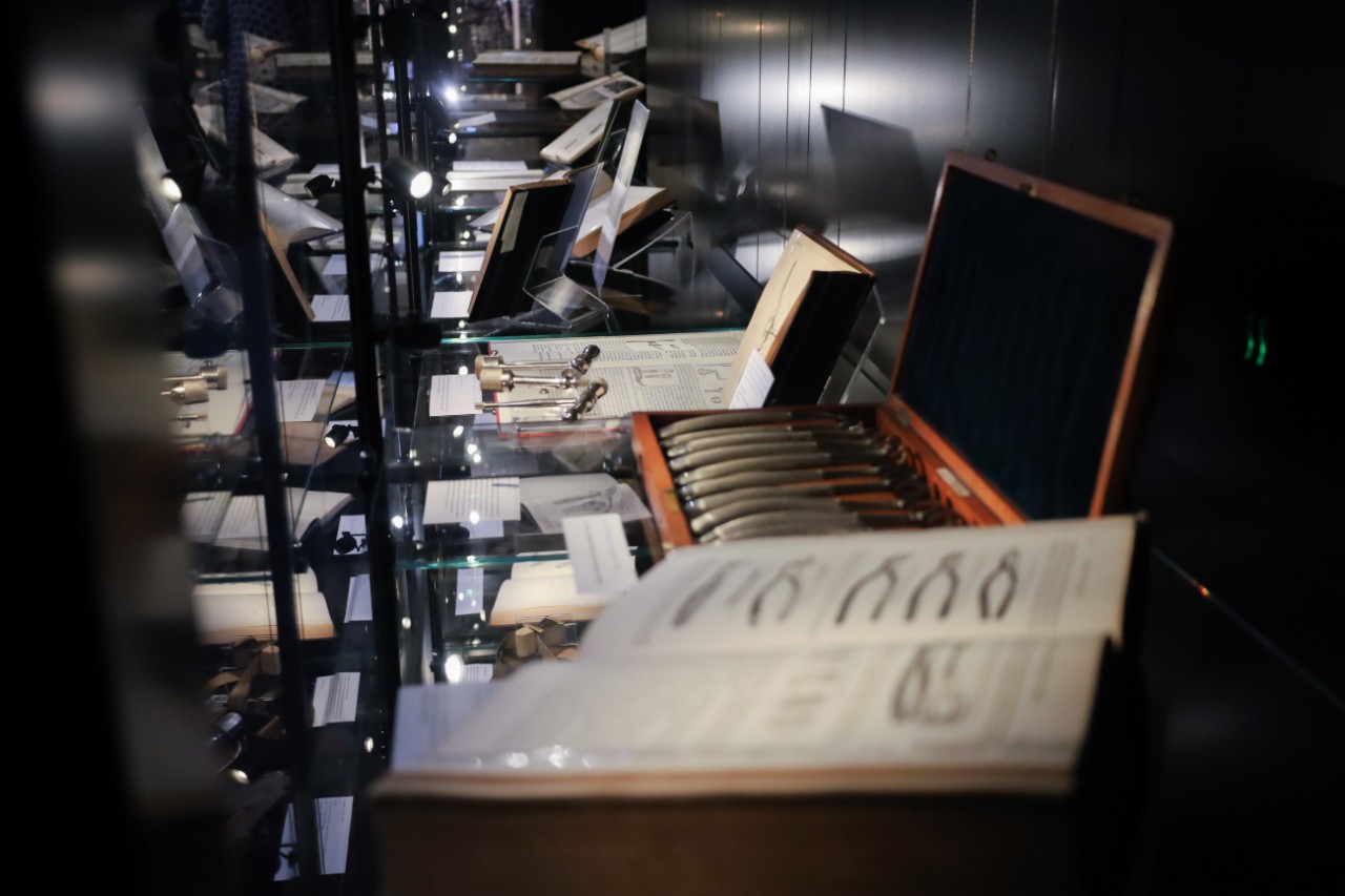 Installation view of the 'Sydney: In Sickness & In Health'