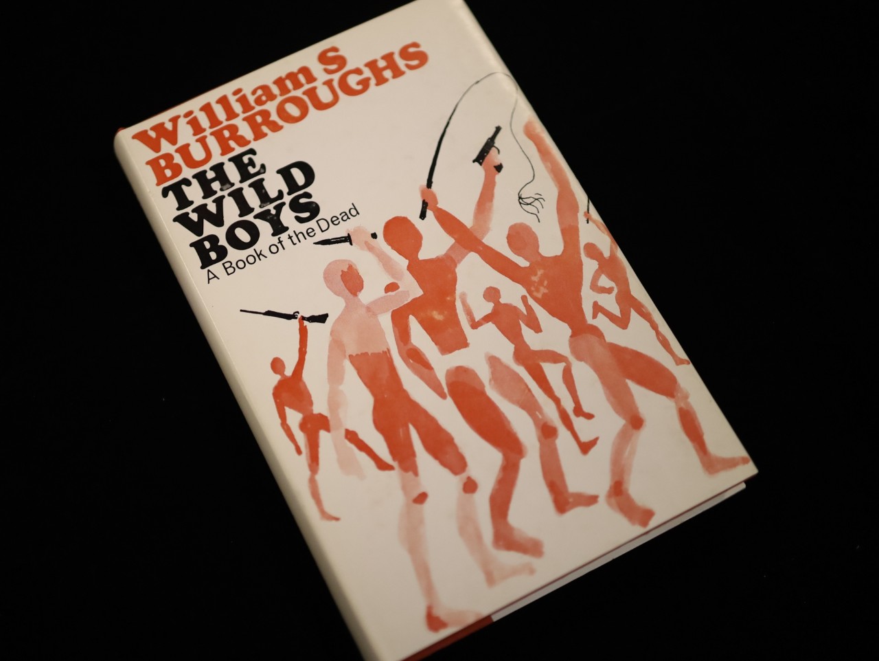 The wild boys: a book of the dead - Graham SF 02635