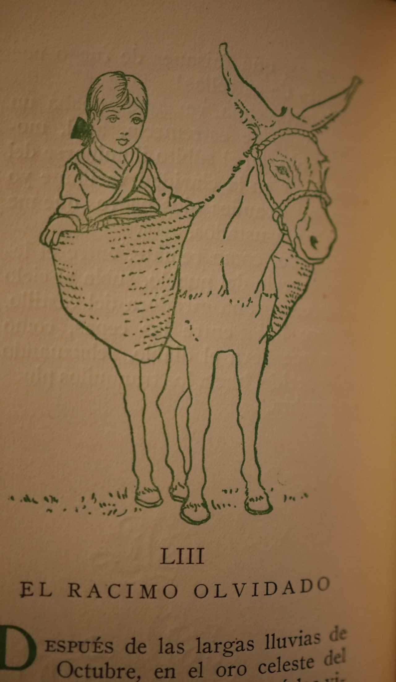 El racimo olvidado / The Forgotten Bunch of Grapes (chapter 53)